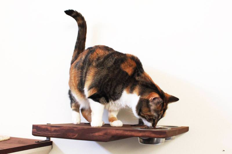 Catastrophic Creations -Second home for your feline