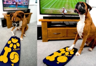 world’s first ever dog-friendly TV remote