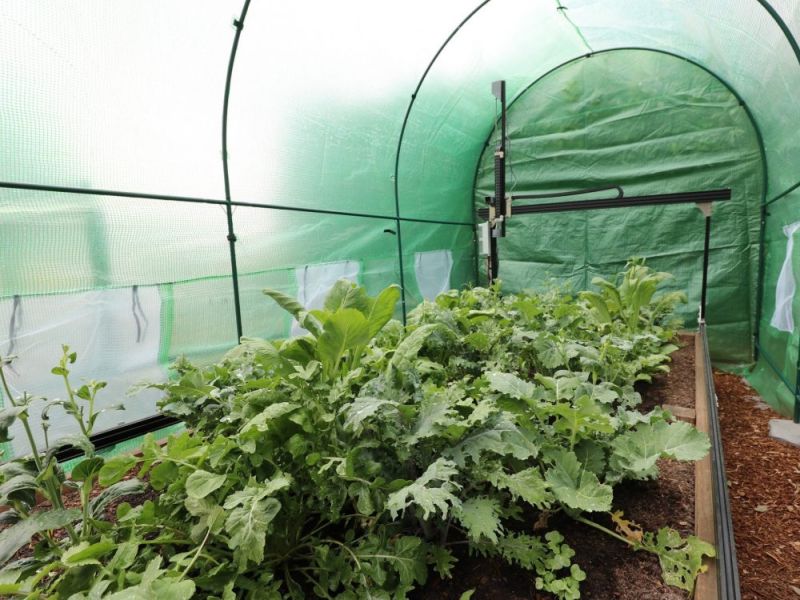 Can be used in green houses