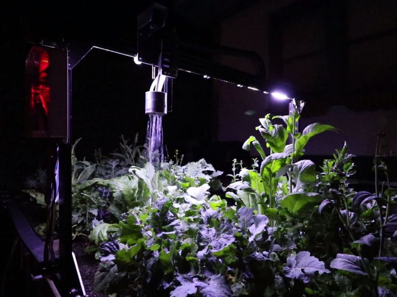 Add features such as lighting for get best planting conditions