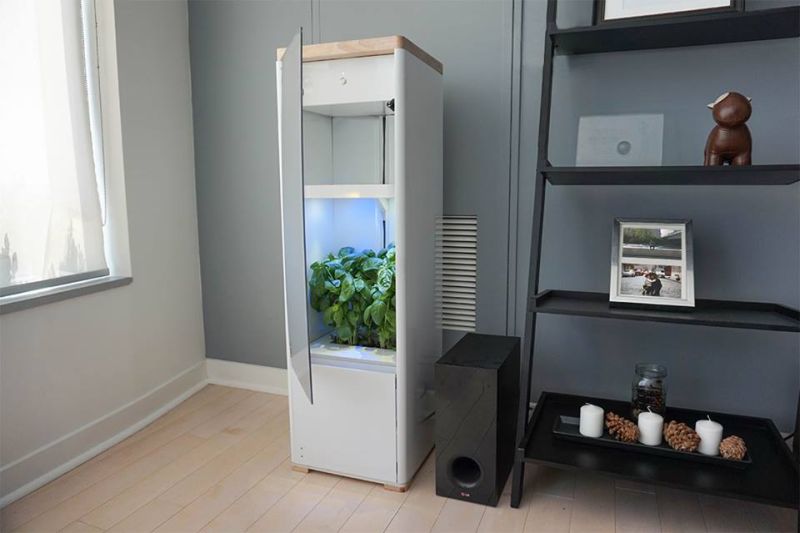 Grobo Automated Hydroponic Grow Box For Indoor Gardeners Updated
