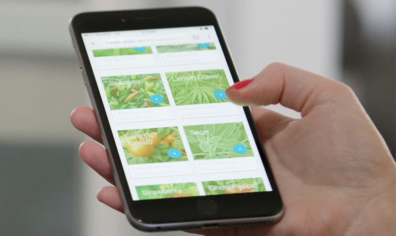 Huge database of cultivation recipes