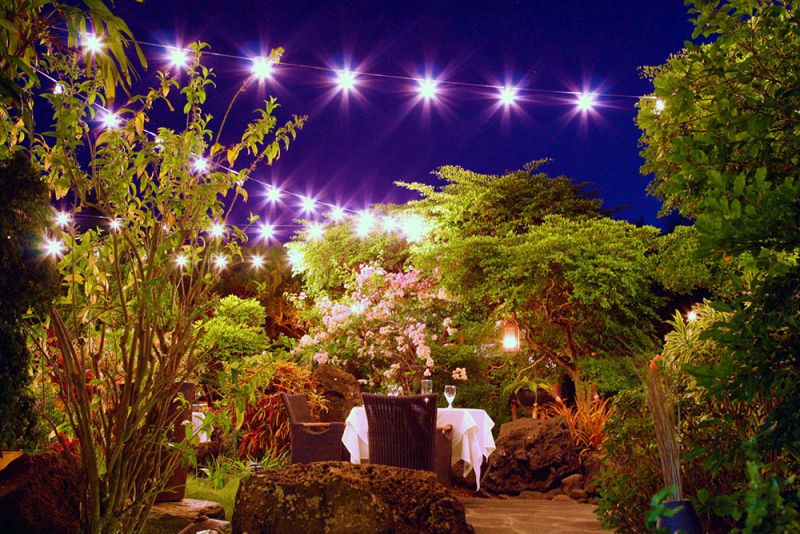 Hotel Wailea in Maui with Treehouse