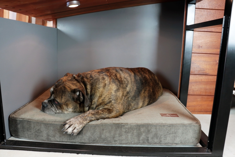 Jax & Bones foam memory bed for your dog