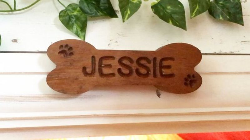 A Bone-shaped nameplate outside the dog house