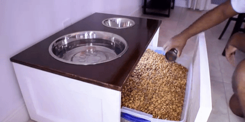 Keeps the dog food in an easy to access location to comfort you and your dog