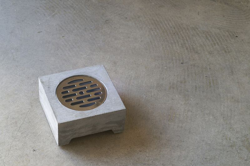See nature’s survival ability with this planter