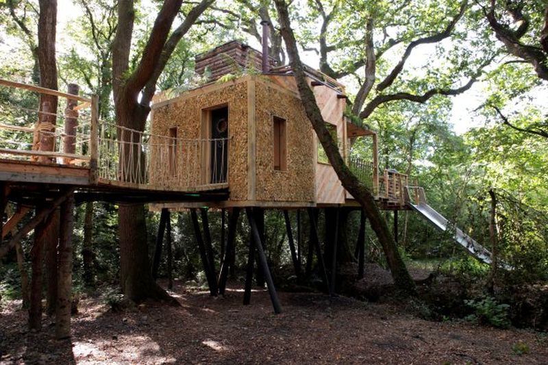 Woodman's Treehouse