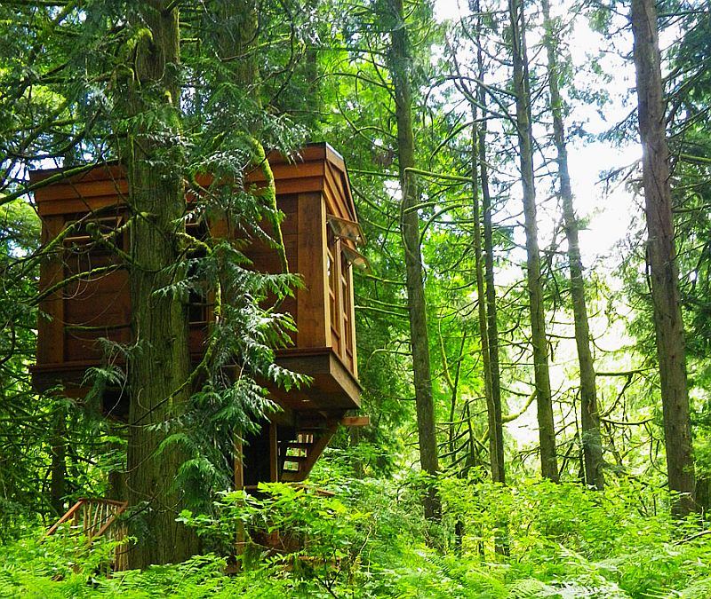 Bonbibi Treehouseat Treehouse Point_4