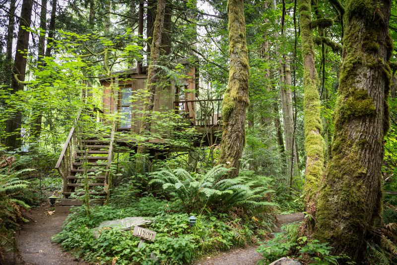 Nest Treehouse at Treehouse Point_1
