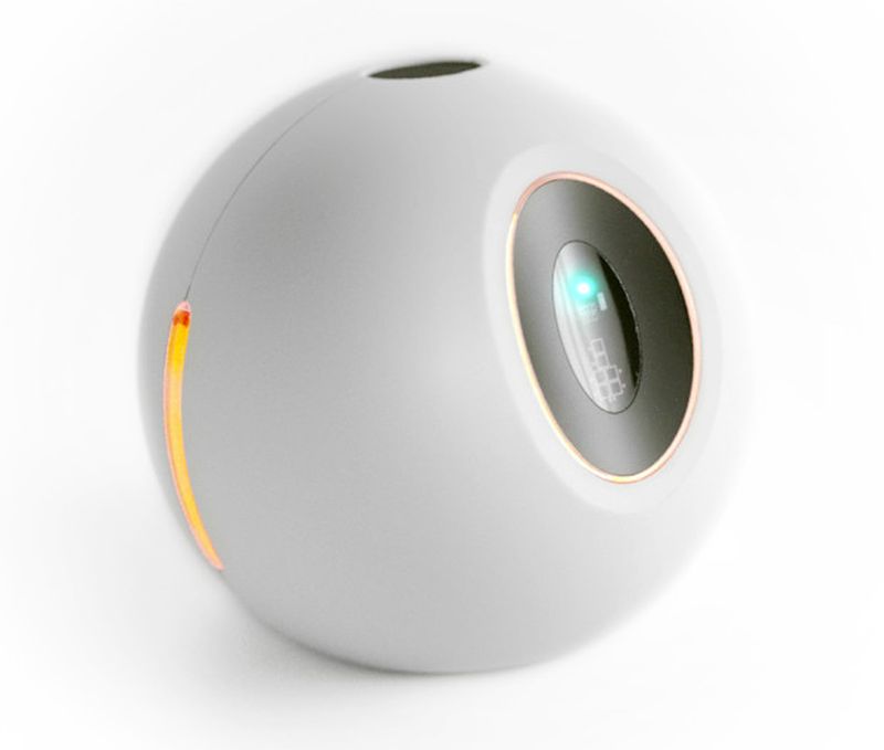 One X nutritional biosensor