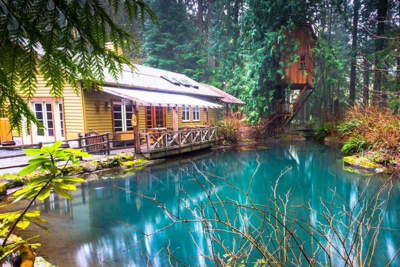 Pond Room at Treehouse Point_6
