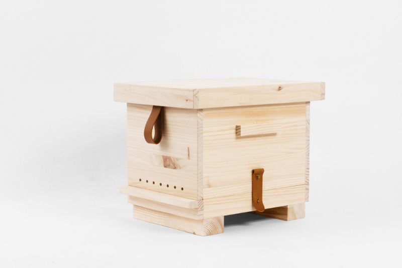 Small beehive promoting bee culture