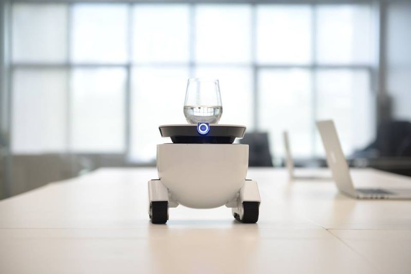 Delivers things on your voice command