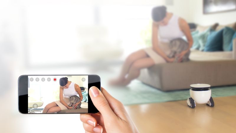Control your Roboming Fellow with voice or companion app