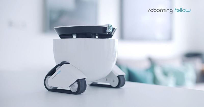 Robot friend for homes