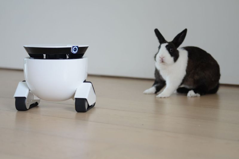 Plays and keeps an eye on your pets with motion sensing technology
