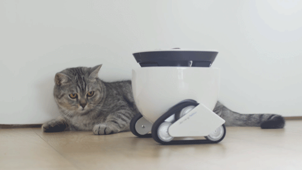 Device for entertaining pets at home remotely