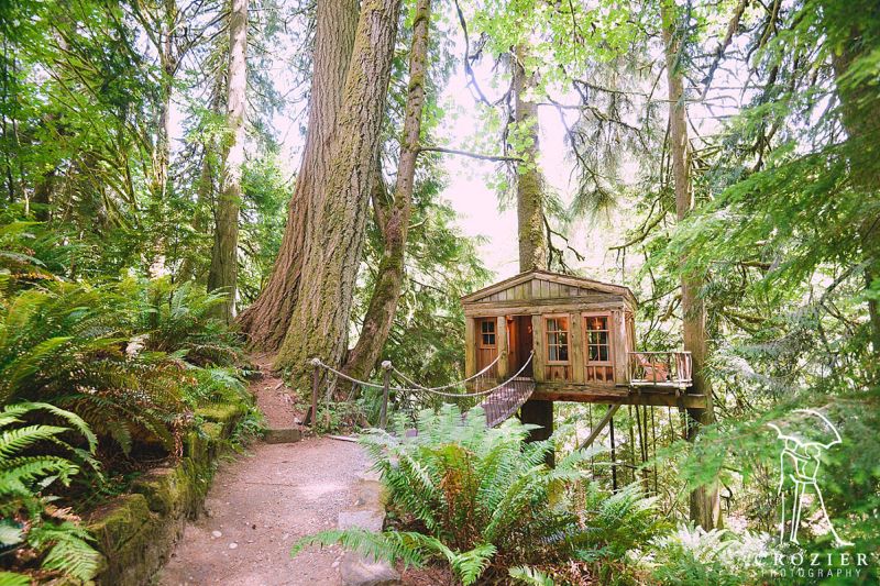 Temple of the Blue Moon at Treehouse Point_1
