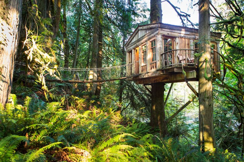 Temple of the Blue Moon at Treehouse Point_5