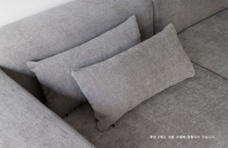 Two accent couch cushions