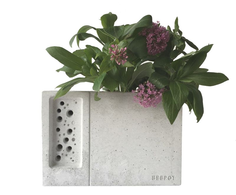 Plant your favorite flowers