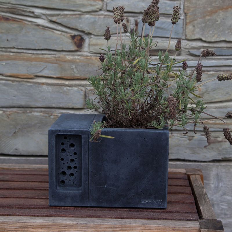 Great household item to establish nature appeal in homes