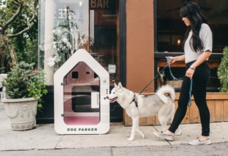 dog-parker