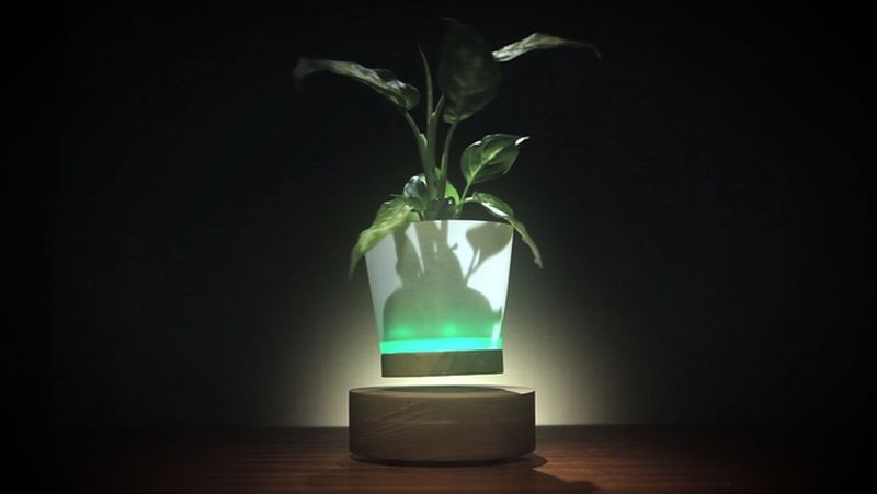 Levitate your flower vases