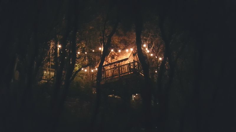 Nigh view of the mini treehouse