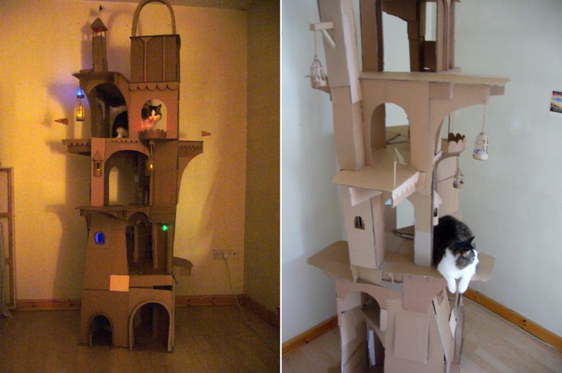 This kitty lover built spacious DIY cathouse from cardboard