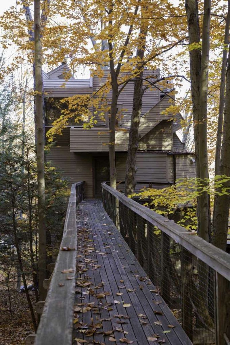 Quirky Weston Treehouse