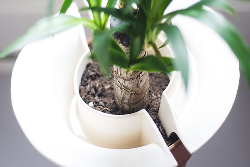 Slo plant watering accessory by David Touzain