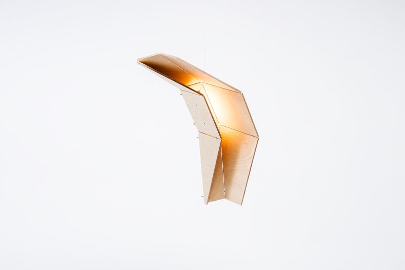 Eagle wood light collection