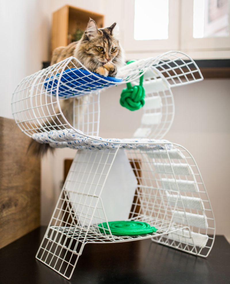 9lives is first ever cat furniture design show at Design Week Singapore