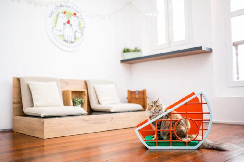 9lives is first ever cat furniture design show at Design Week Singapore