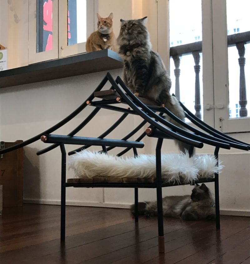 9lives is first ever cat furniture design show at Design Week Singapore