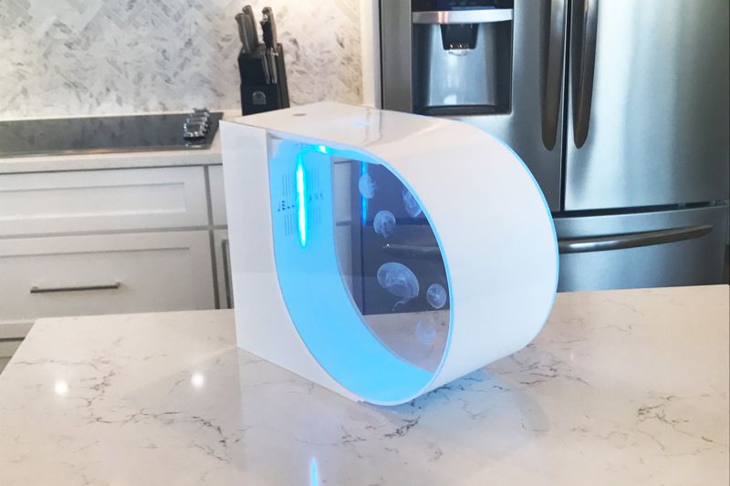 Jellytank: An illuminating desktop aquarium by Blake & Brock Gratton