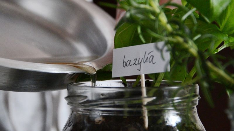 Bono by Ala Sieradzka is chic compost pot for kitchen