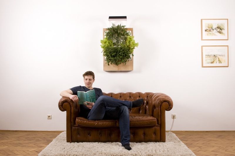 Herbert, a smart hydroponic wall garden grows food all year round
