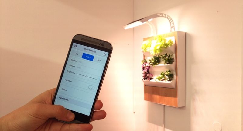 Herbert, a smart hydroponic wall garden grows food all year round