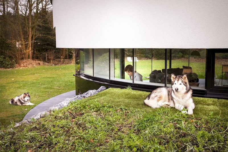 This circular house with big windows brings the outdoors in