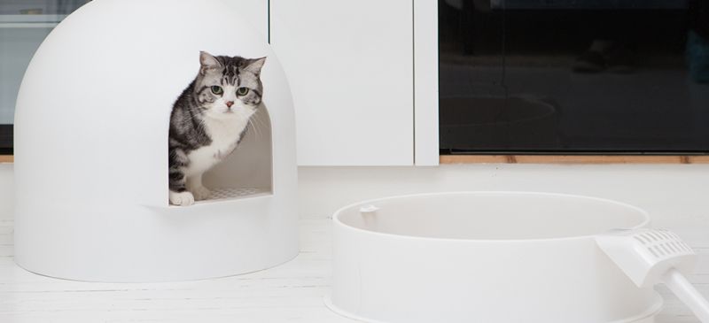 Pidan Igloo Litter Box Meow Lifestyle
