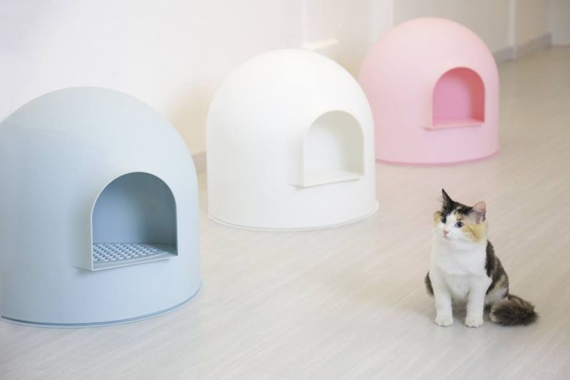 Award-winning Igloo cat litter box by Pidan studio