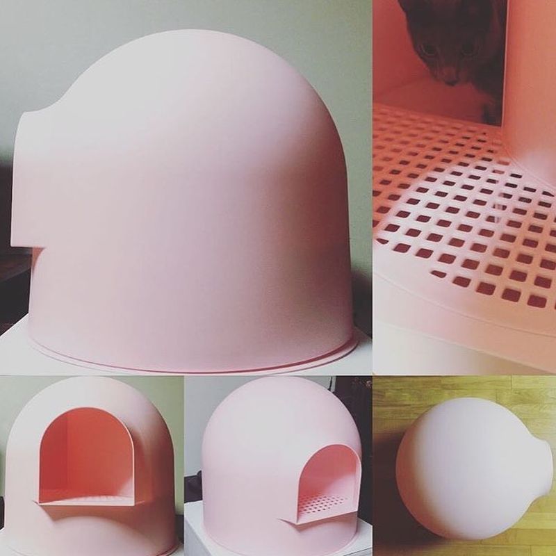 Award-winning Igloo cat litter box by Pidan studio