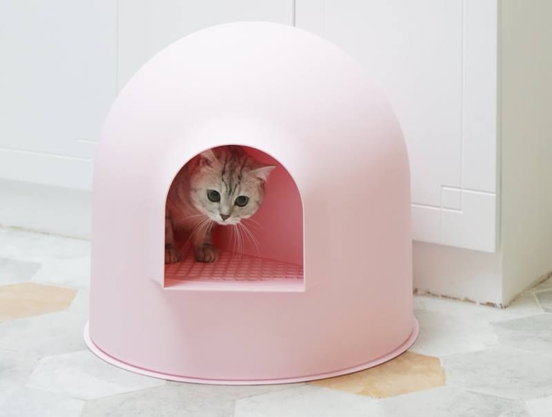 AwardWinning Igloo Cat Litter Box by Pidan Studio