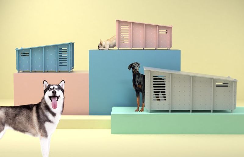architectural doghouses