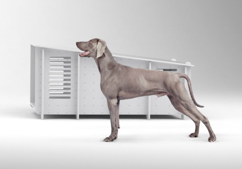 amazing contemporary-styled dog house