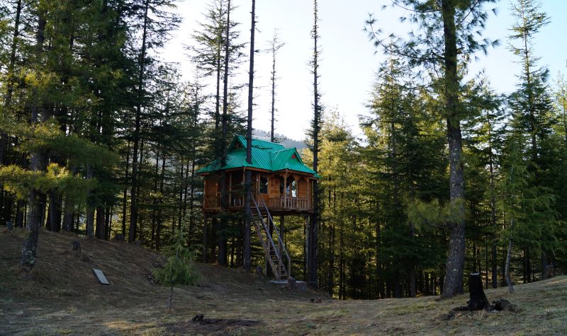 Himalayan Bliss Treehouse Shimla