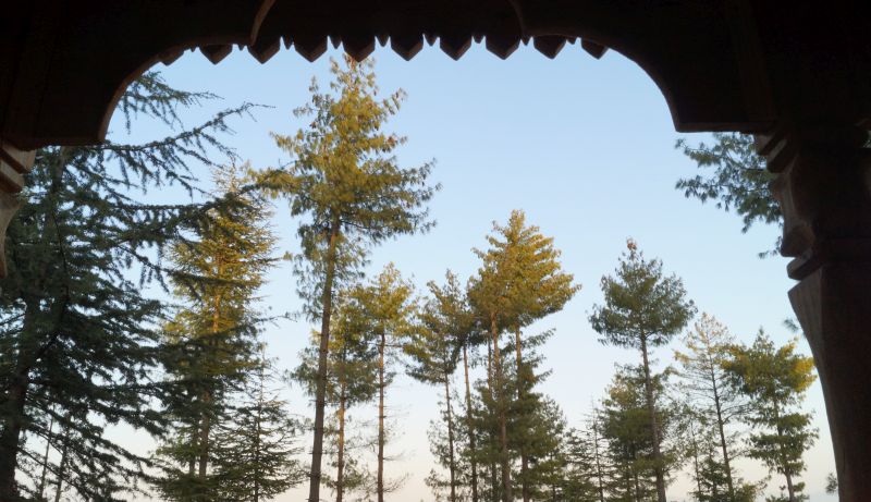 Himalayan Bliss Treehouse Shimla